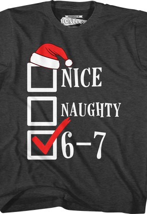 Youth Santa's Nice, Naughty, 6-7 Checklist Shirt