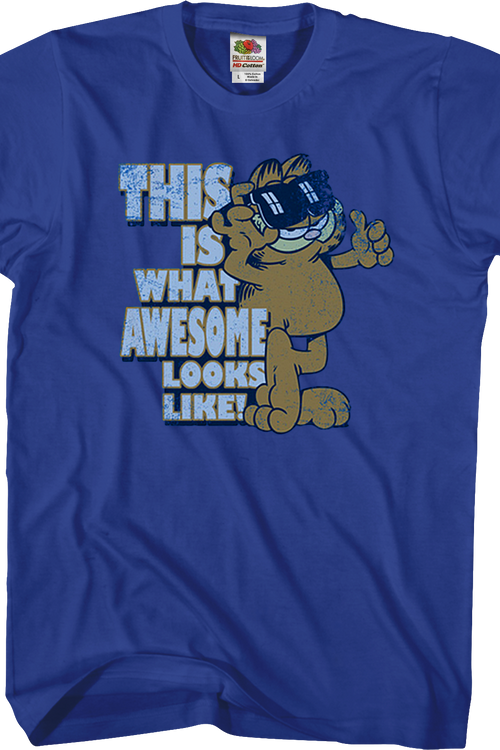 This Is What Awesome Looks Like Garfield T-Shirtmain product image
