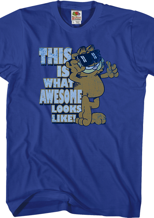 This Is What Awesome Looks Like Garfield T-Shirt - main product image