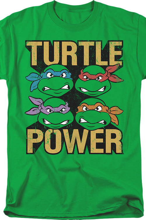 Boy's Teenage Mutant Ninja Turtles Leonardo Costume T-Shirt - Kelly Green -  Large