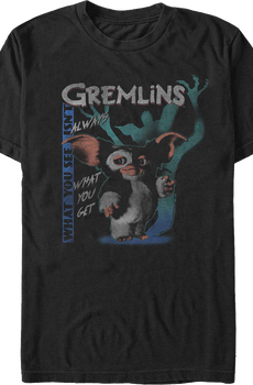 What You See Isn't Always What You Get Gremlins T-Shirt