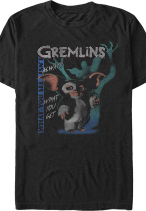 What You See Isn't Always What You Get Gremlins T-Shirt