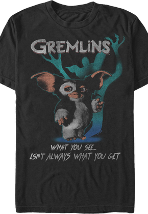 What You See...Isn't Always What You Get Gremlins T-Shirt