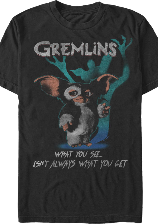 What You See...Isn't Always What You Get Gremlins T-Shirt - main product image