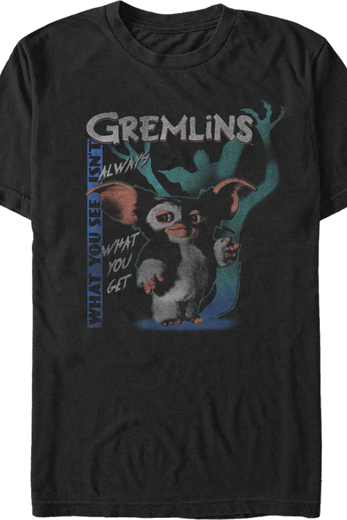 What You See Isn't Always What You Get Gremlins T-Shirtmain product image