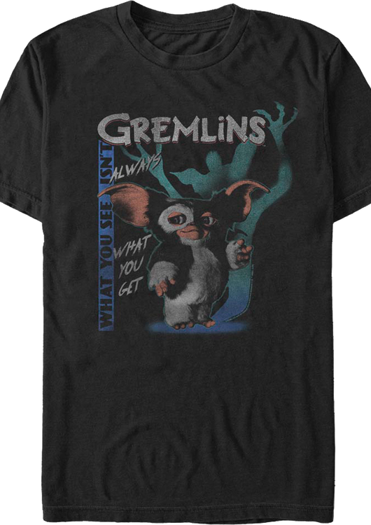 What You See Isn't Always What You Get Gremlins T-Shirt - main product image