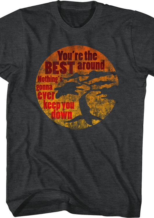 You're The Best Around Karate Kid T-Shirt - main product image