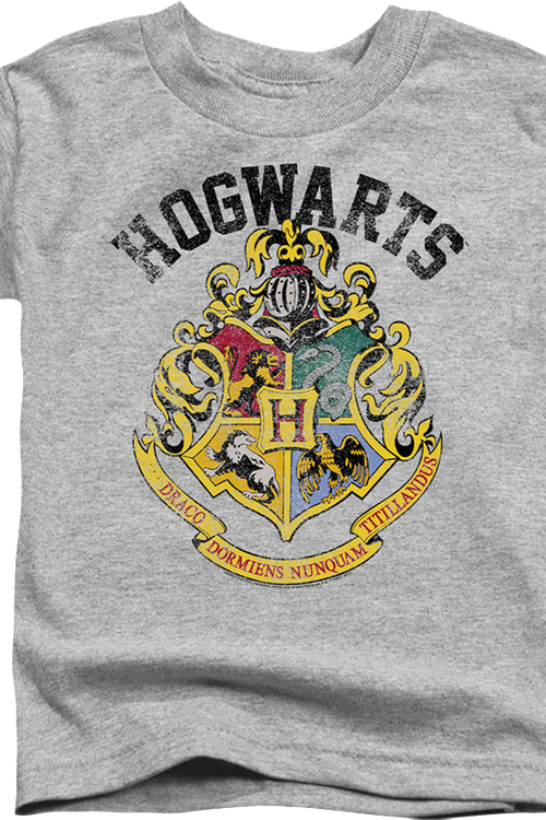 Youth Vintage Hogwarts Crest Harry Potter Shirtmain product image
