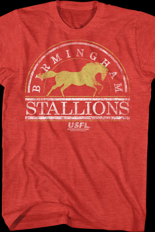 Birmingham Stallions USFL T-Shirtmain product image