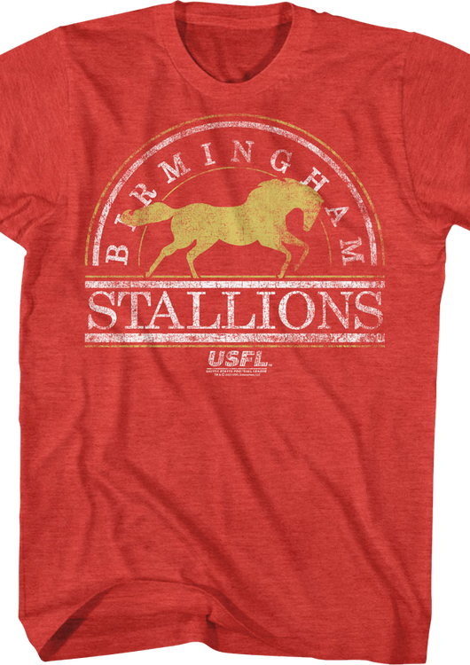 Birmingham Stallions USFL T-Shirt - main product image