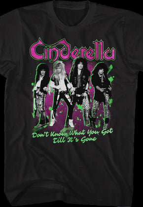 Don't Know What You Got Till It's Gone Cinderella T-Shirt