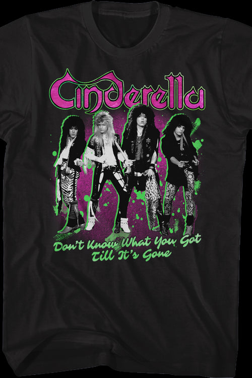 Don't Know What You Got Till It's Gone Cinderella T-Shirtmain product image