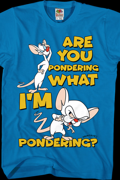 Pinky And The Brain Pondering Animaniacs T-Shirtmain product image