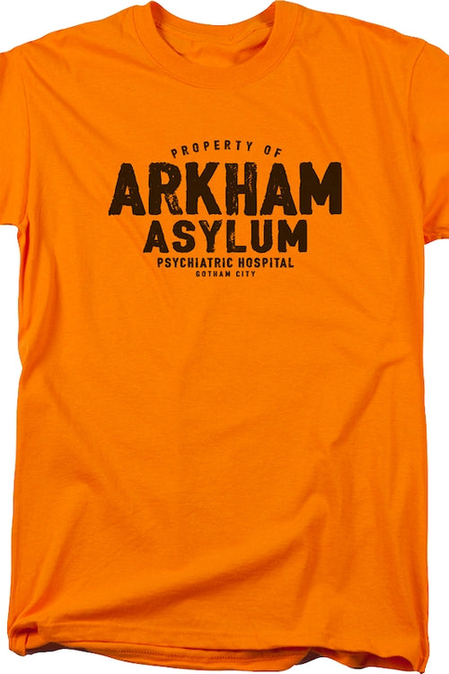 Property Of Arkham Asylum DC Comics T-Shirtmain product image