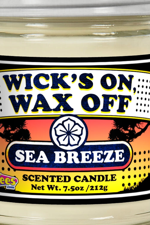 Wick's On Wax Off Sea Breeze Scented Karate Kid Candlemain product image