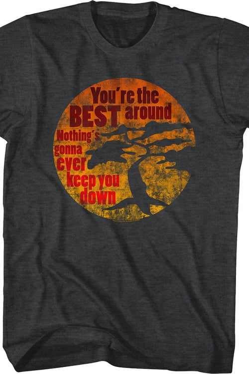 You're The Best Around Karate Kid T-Shirtmain product image